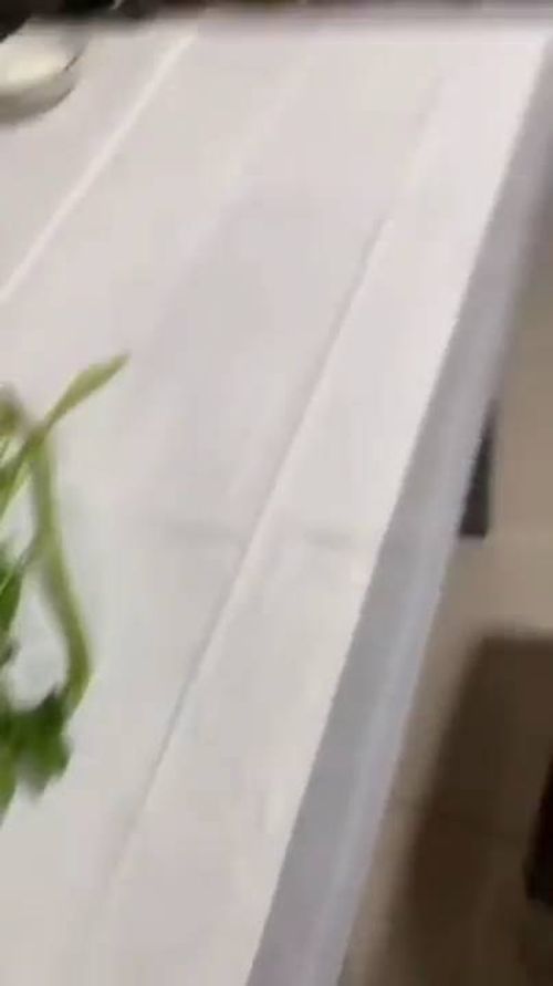 날다람쥐의 연기력